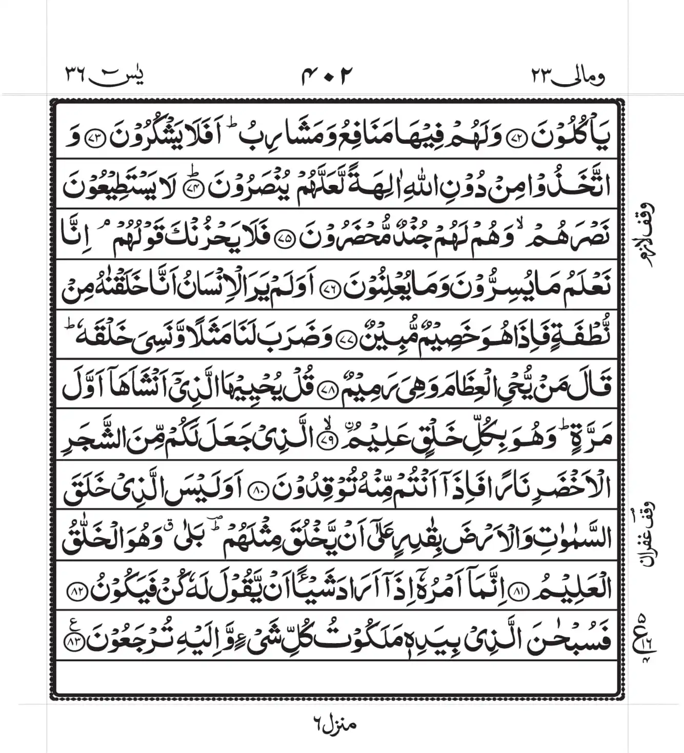 surah yaseen 6